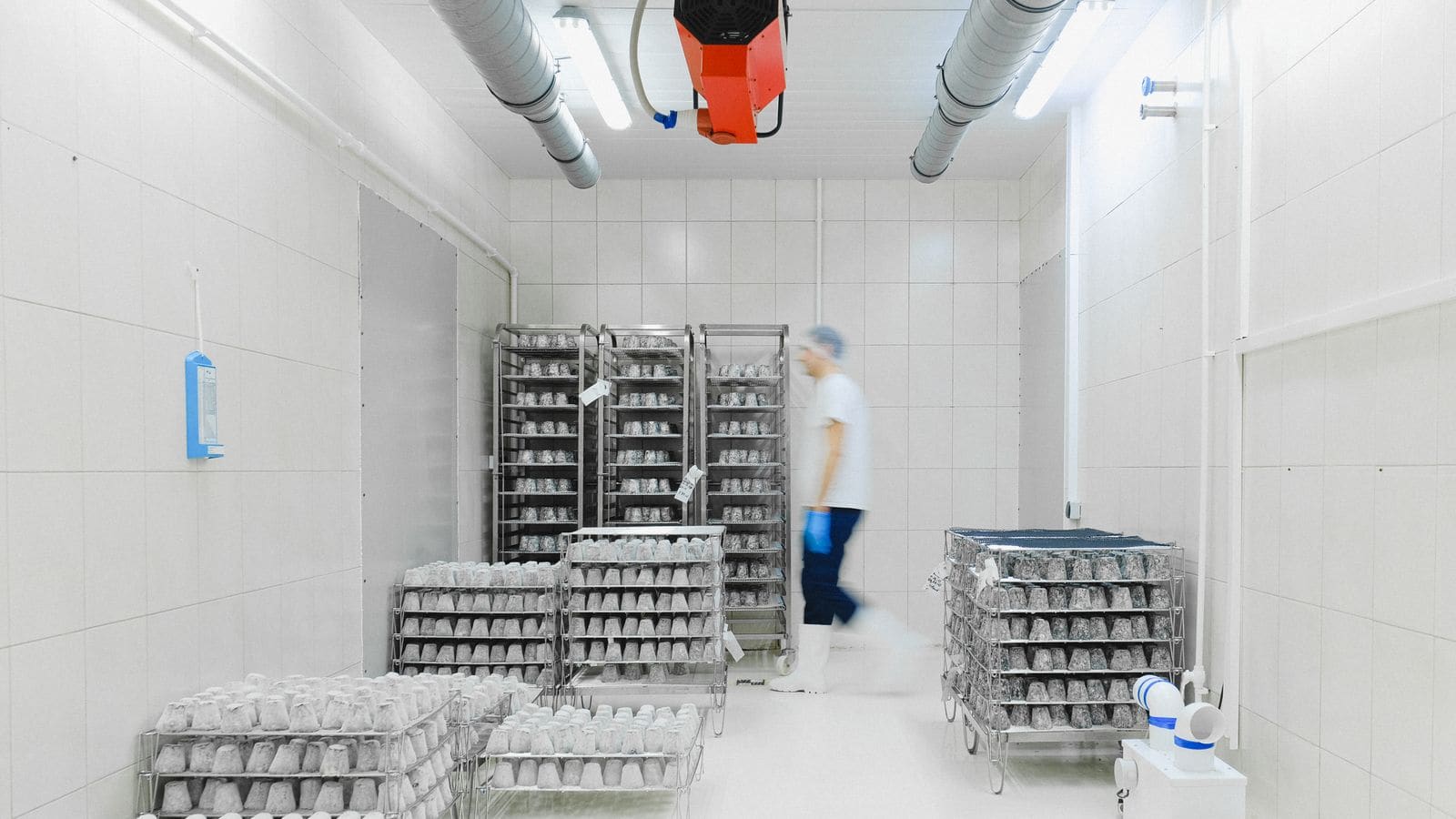 Industrial Refrigeration — Al Fajr Contracting Company